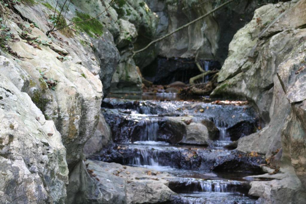 Hotel Rural Bereau Lesaka Εξωτερικό φωτογραφία